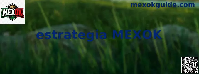 Ejemplo visual relacionado con estrategia MEXOK