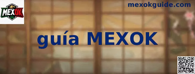 Imagen informativa de la guía MEXOK