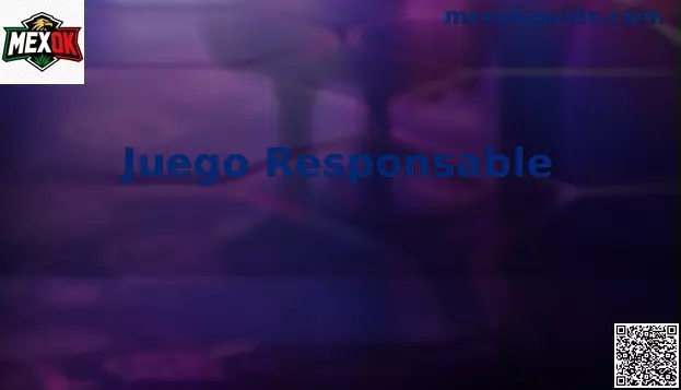 Juego Responsable México