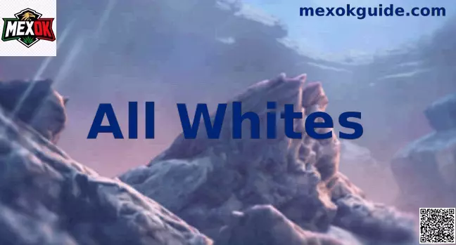 All Whites Nueva Zelanda fútbol