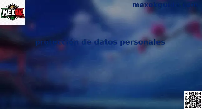 Guía sobre protección de datos personales en México