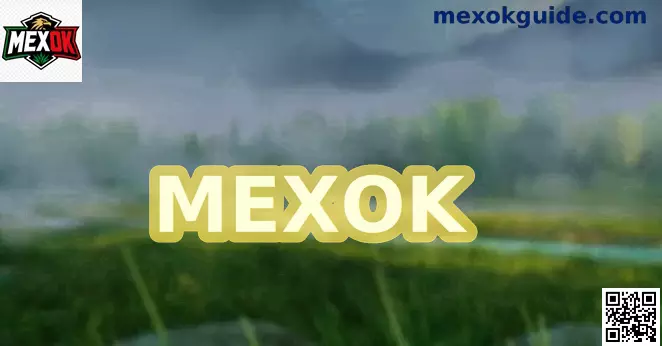 MEXOK Plataforma