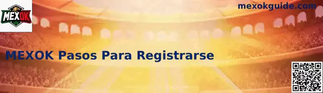 Registro Seguro MEXOK